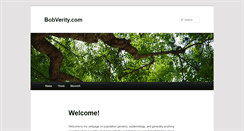 Desktop Screenshot of bobverity.com